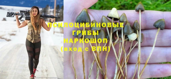 прущая мука Армянск